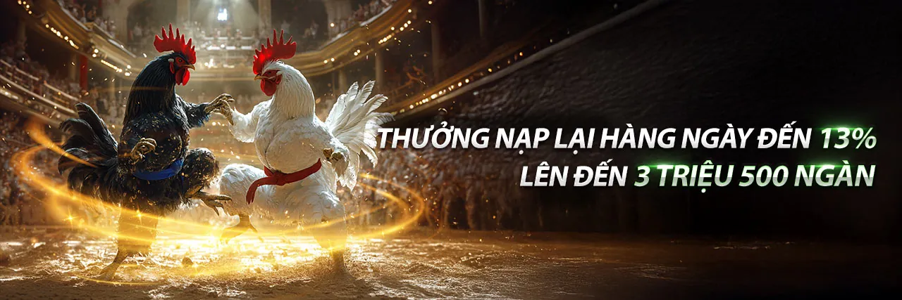 Đá gà trực tuyến kufun casino